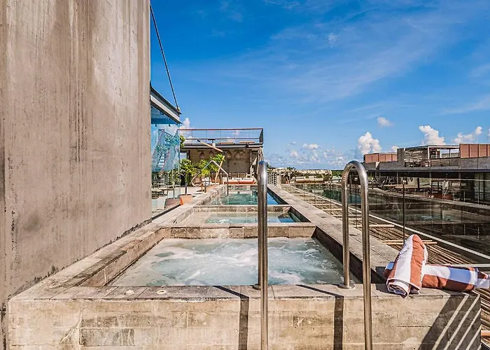 1br Swim Up Loft With Private Cenote Rooftop Pool Appartement